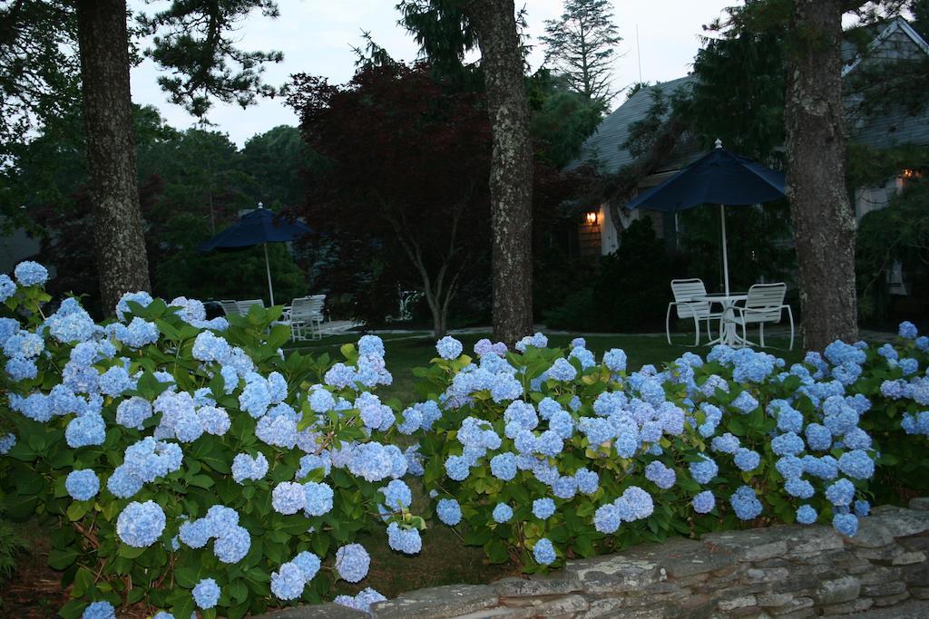 Pleasant Bay Village Resort Chatham Bagian luar foto
